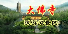 30分钟免费操嫩逼中国浙江-新昌大佛寺旅游风景区